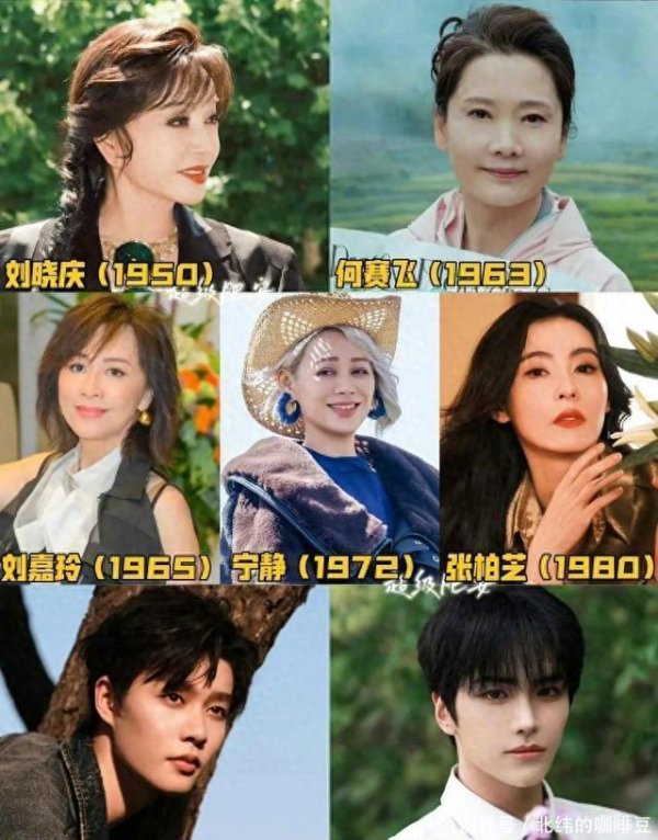 赢在策略 5大影后加盟，张柏芝咖位最小，桃厂下血本，这档综艺想不火都难